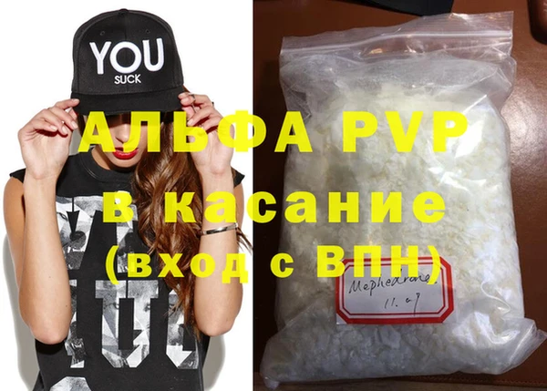 стафф Михайловск
