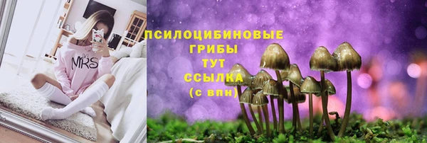 стафф Михайловск
